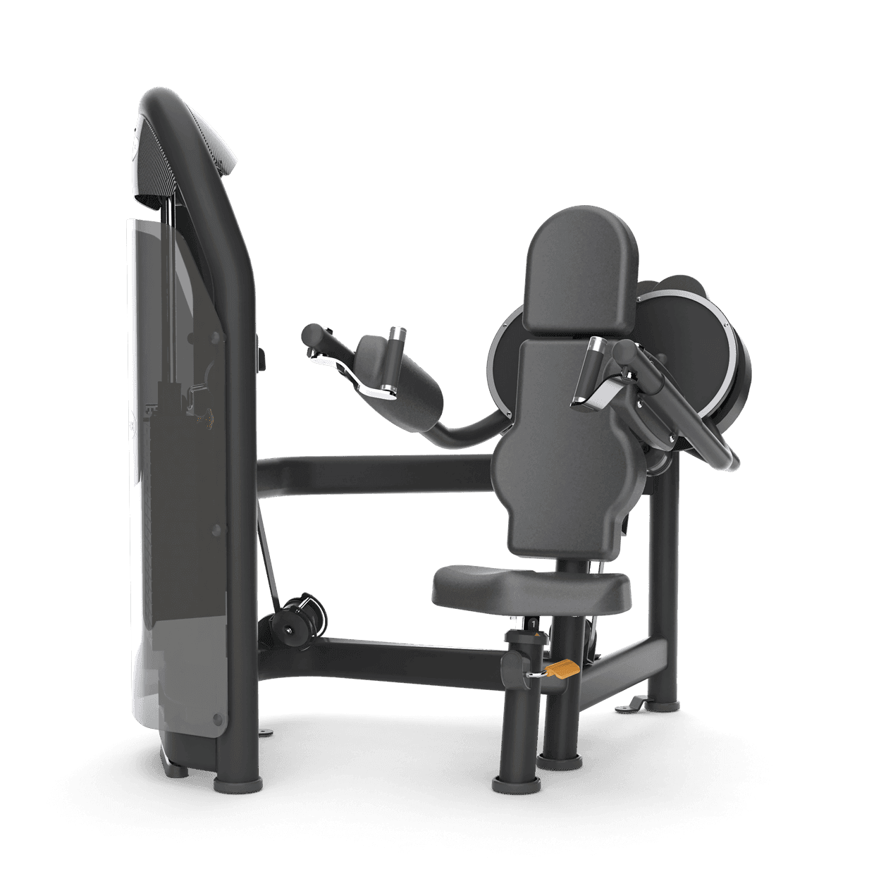 Lateral Raise